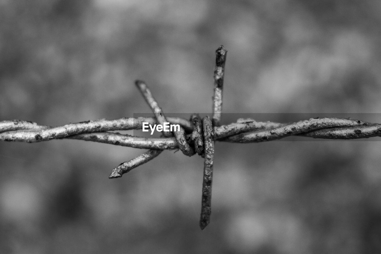 Close-up of barbed wire