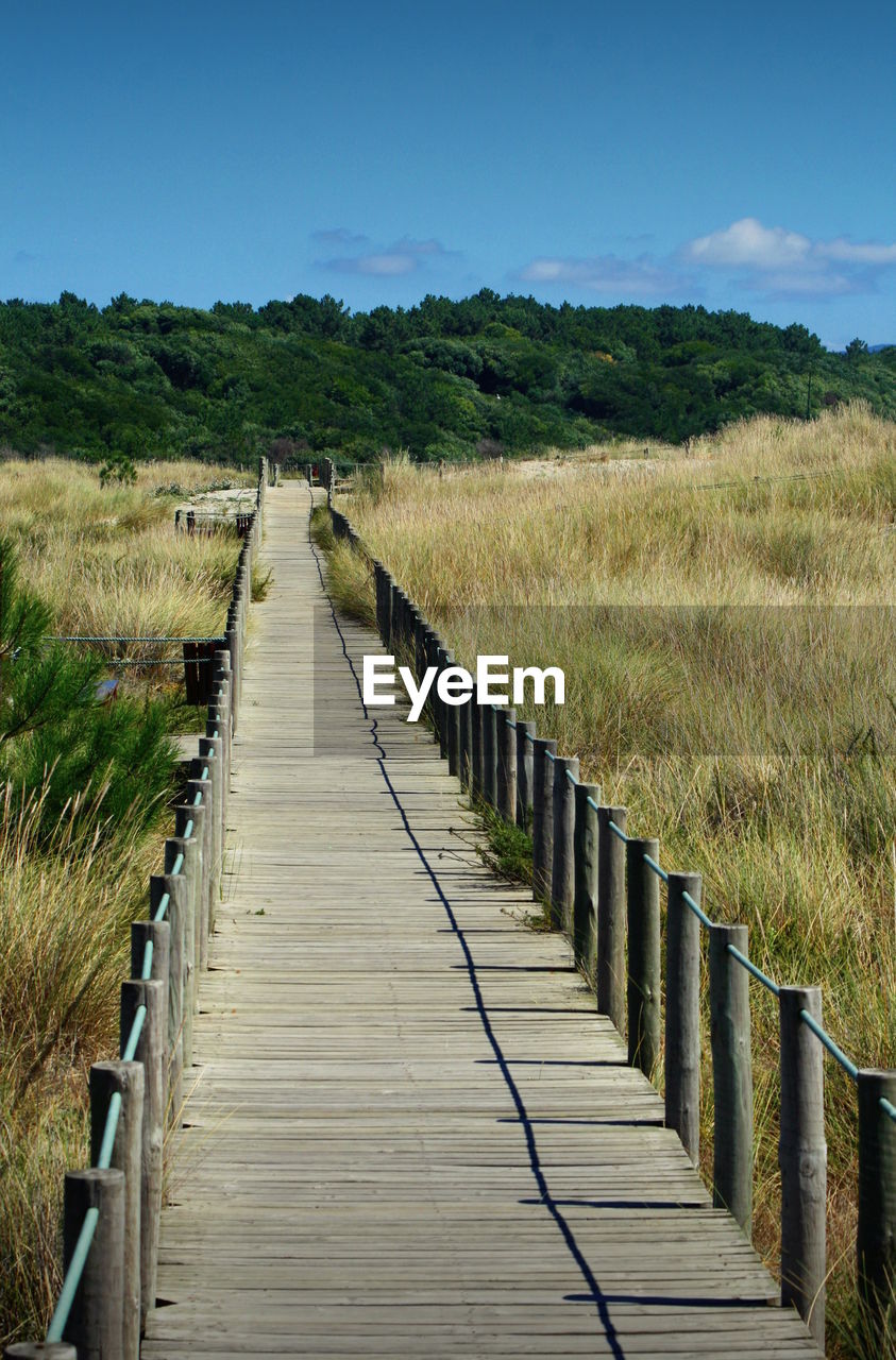 Boardwalk on field against sky