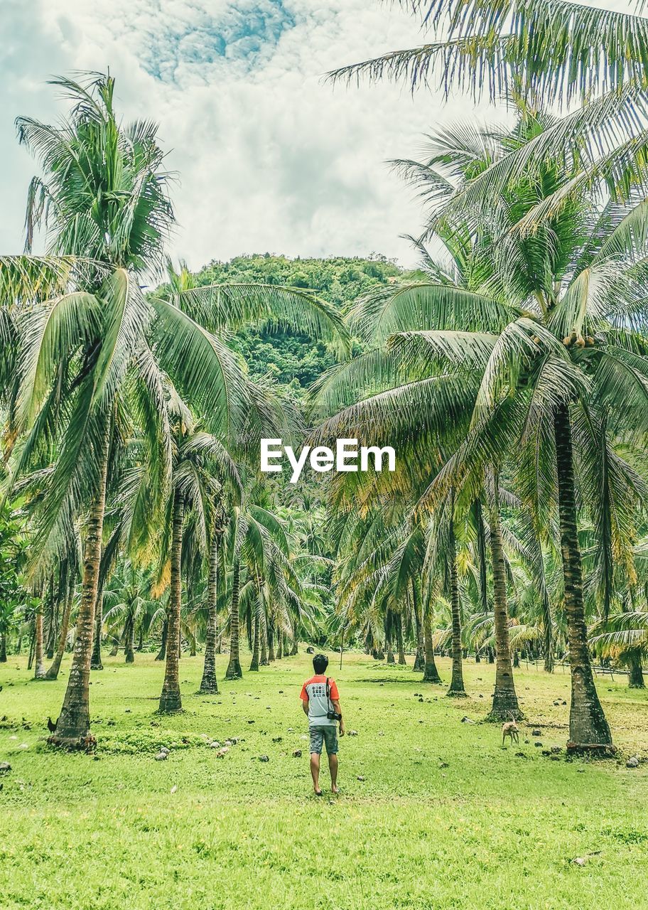 Rear view of man on palm trees on field against sky