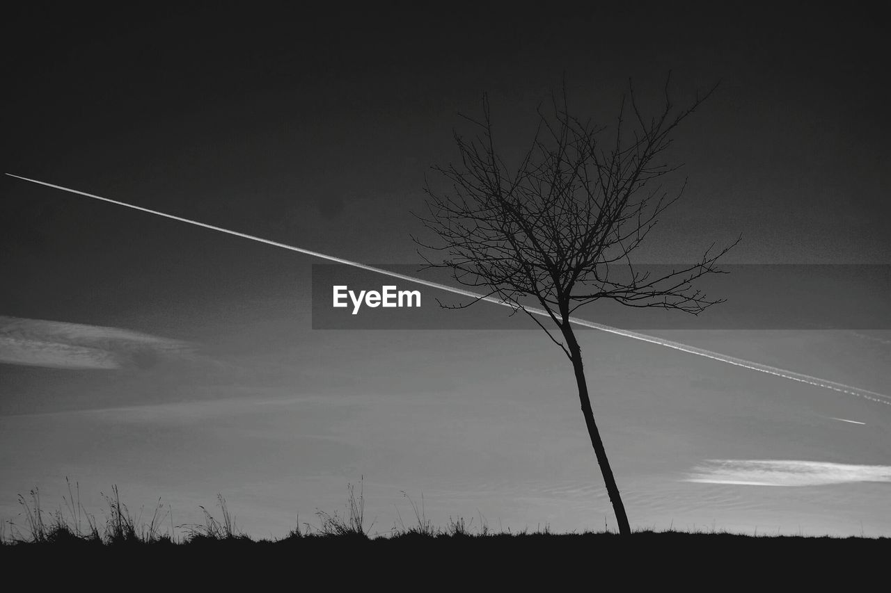 Low angle view of silhouette bare tree on field against sky