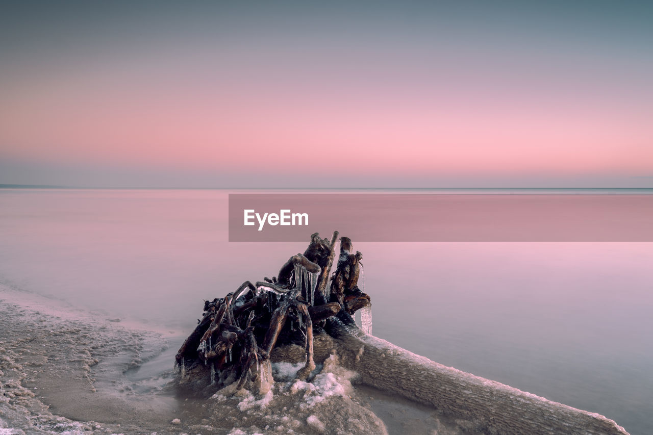 Driftwood on beach against sky during sunset