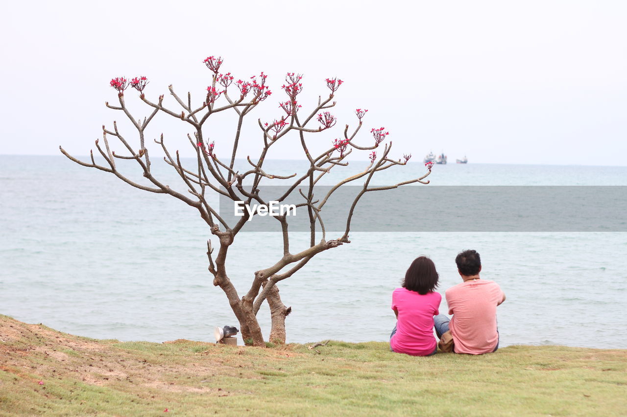 Rear view of couple siting on land by sea against clear sky