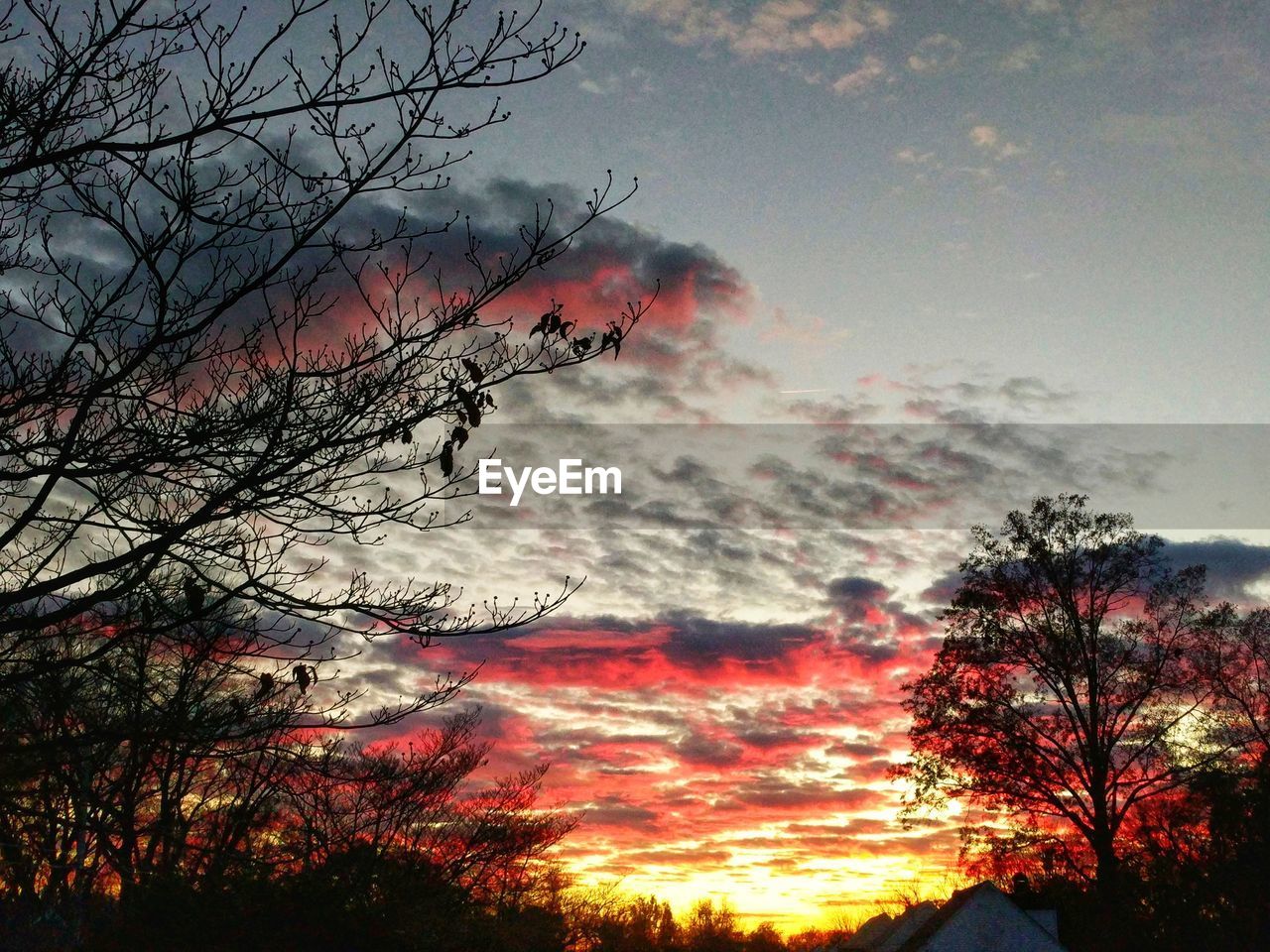 LOW ANGLE VIEW OF SILHOUETTE TREES AGAINST SKY DURING SUNSET