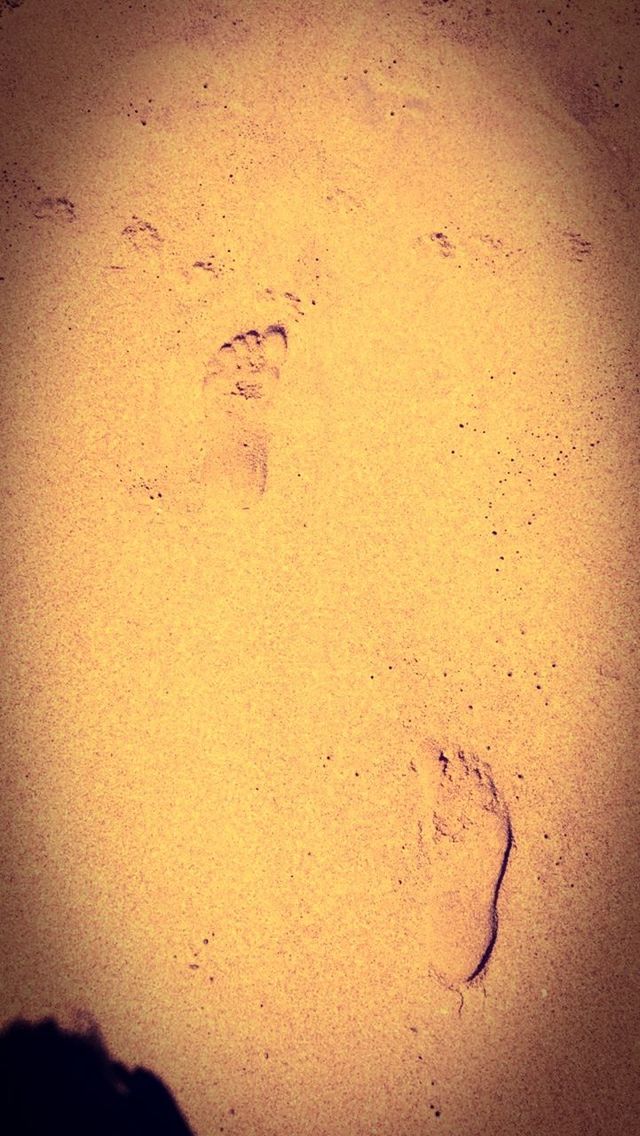 footprint, paw print, sand, track - imprint, outdoors, no people, day, nature, close-up