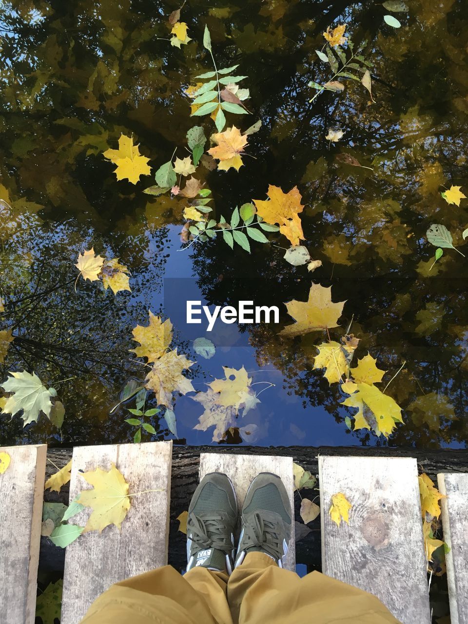 Low section of man standing on footbridge during autumn