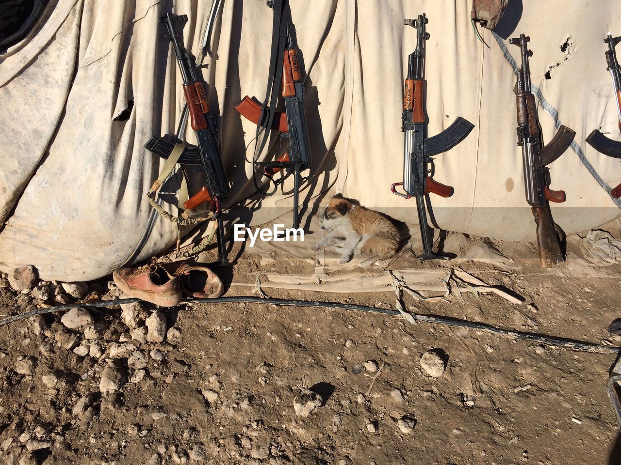 High angle view of puppy sleeping by ak-47 on sunny day