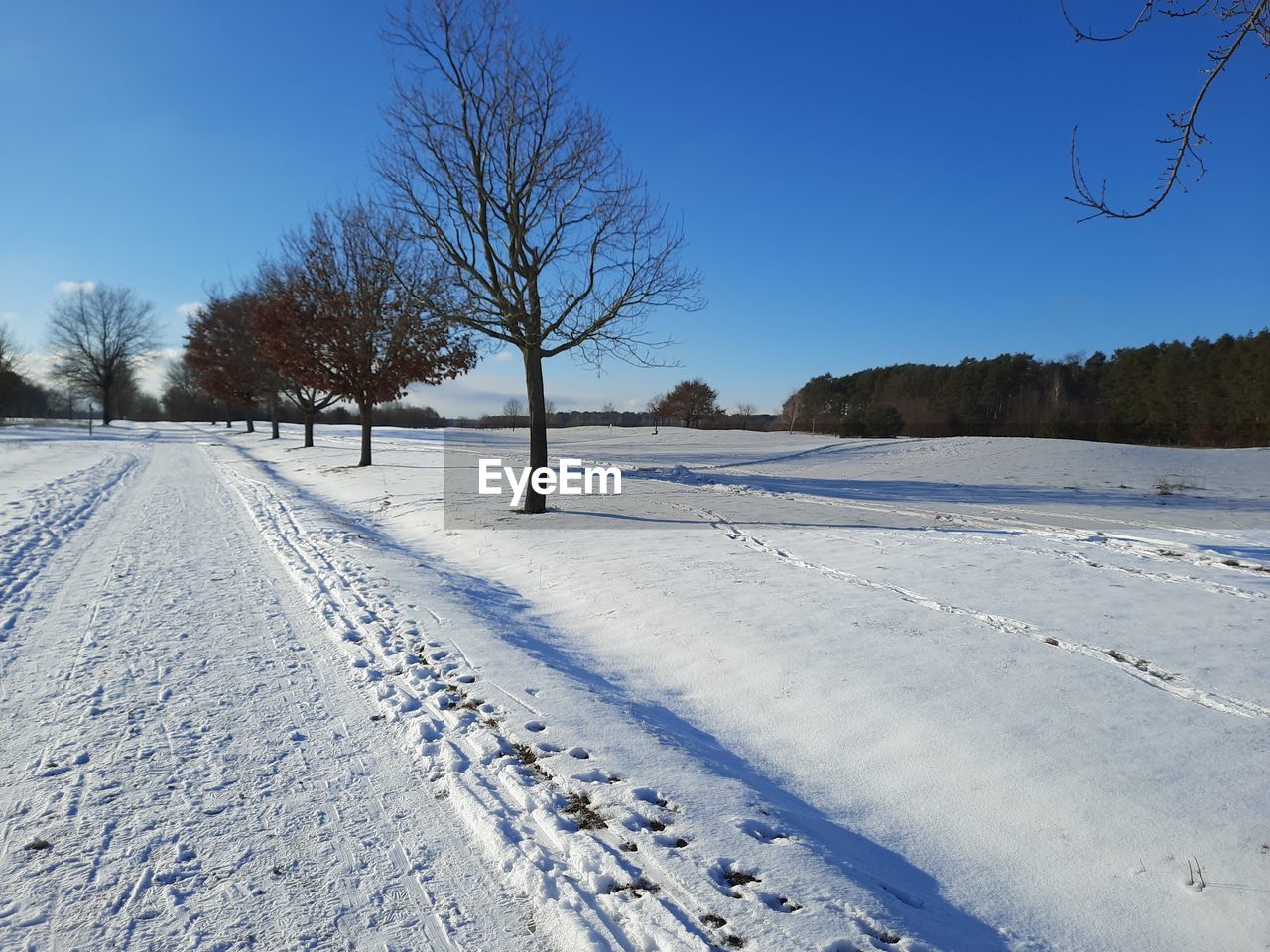 SNOW COVERED FIELD AGAINST SKY