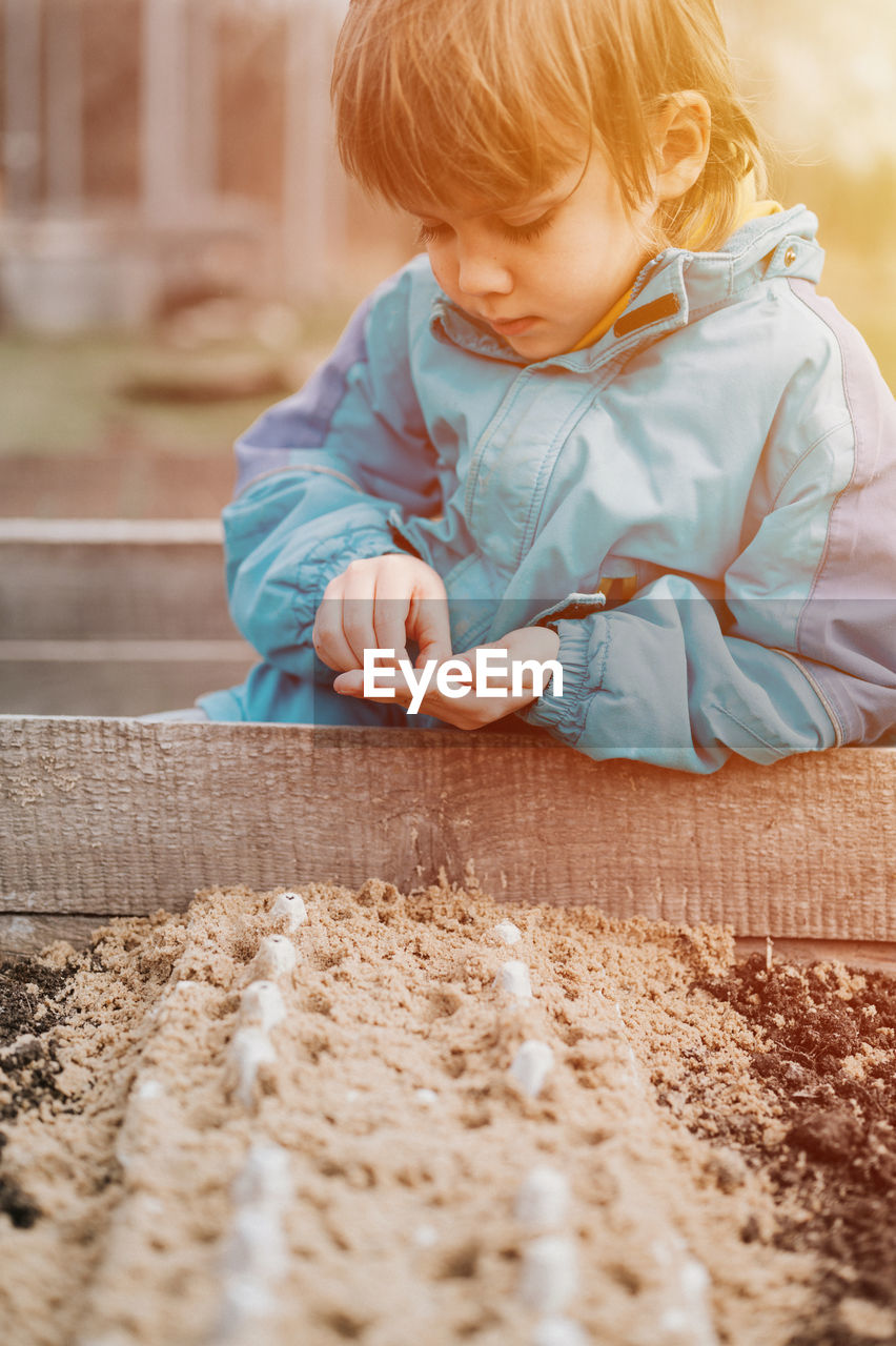 Spring planting seeding farm garden. little kid boy farmer gardener plants sow vegetable seeds soil