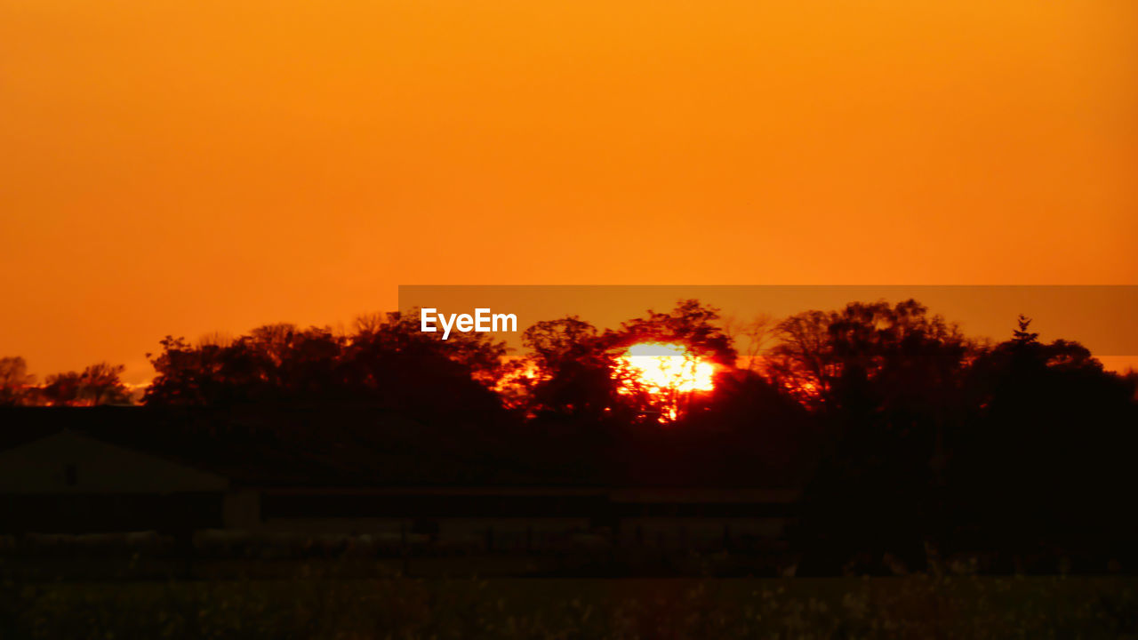 SILHOUETTE TREES GROWING ON FIELD AGAINST ORANGE SKY