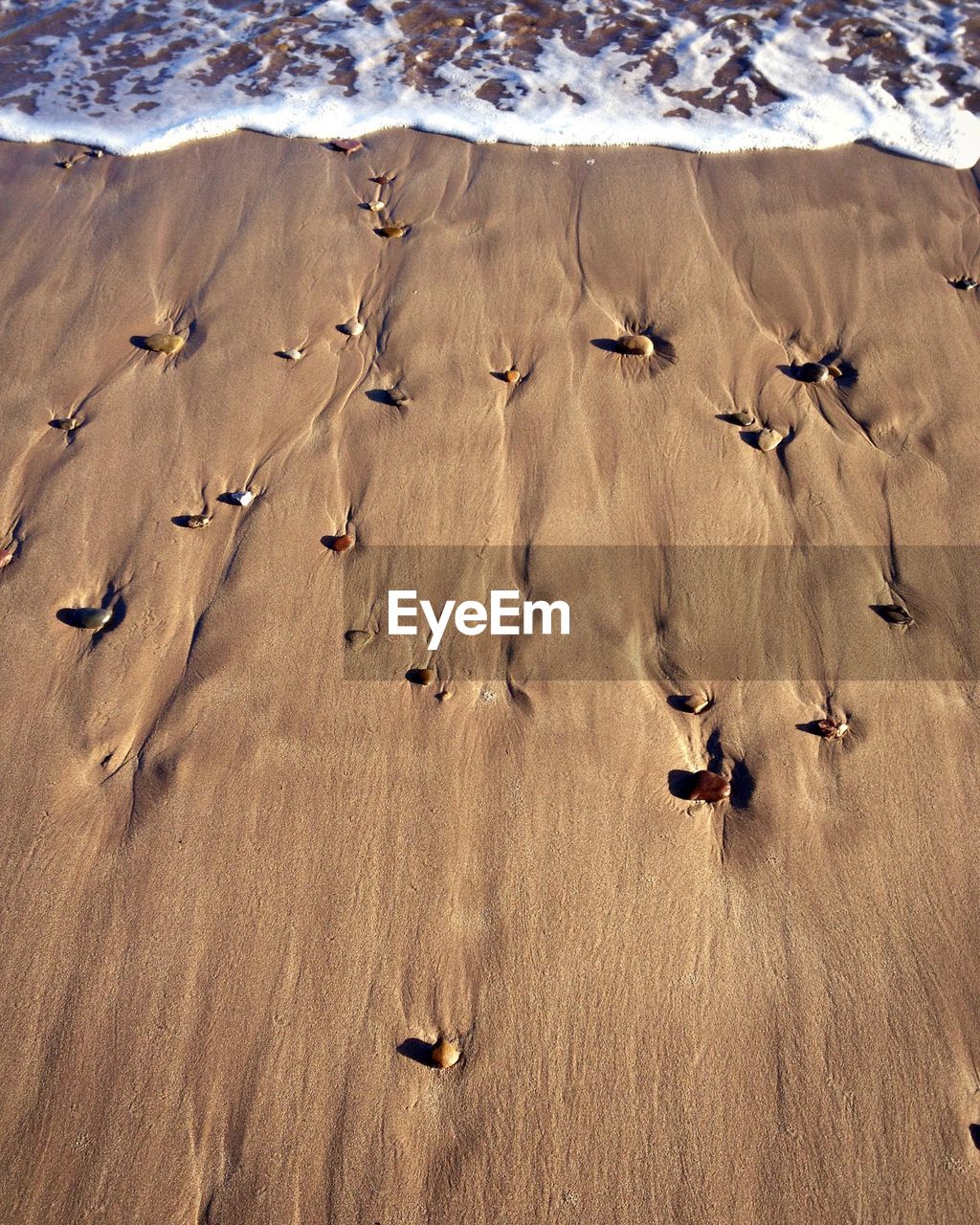 HIGH ANGLE VIEW OF PIGEONS ON SAND