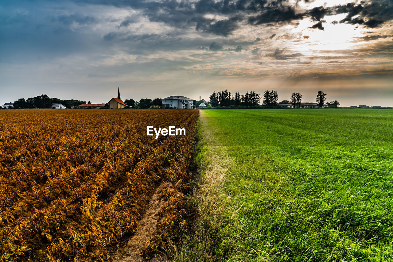 SCENIC VIEW OF FARM FIELD AGAINST SKY