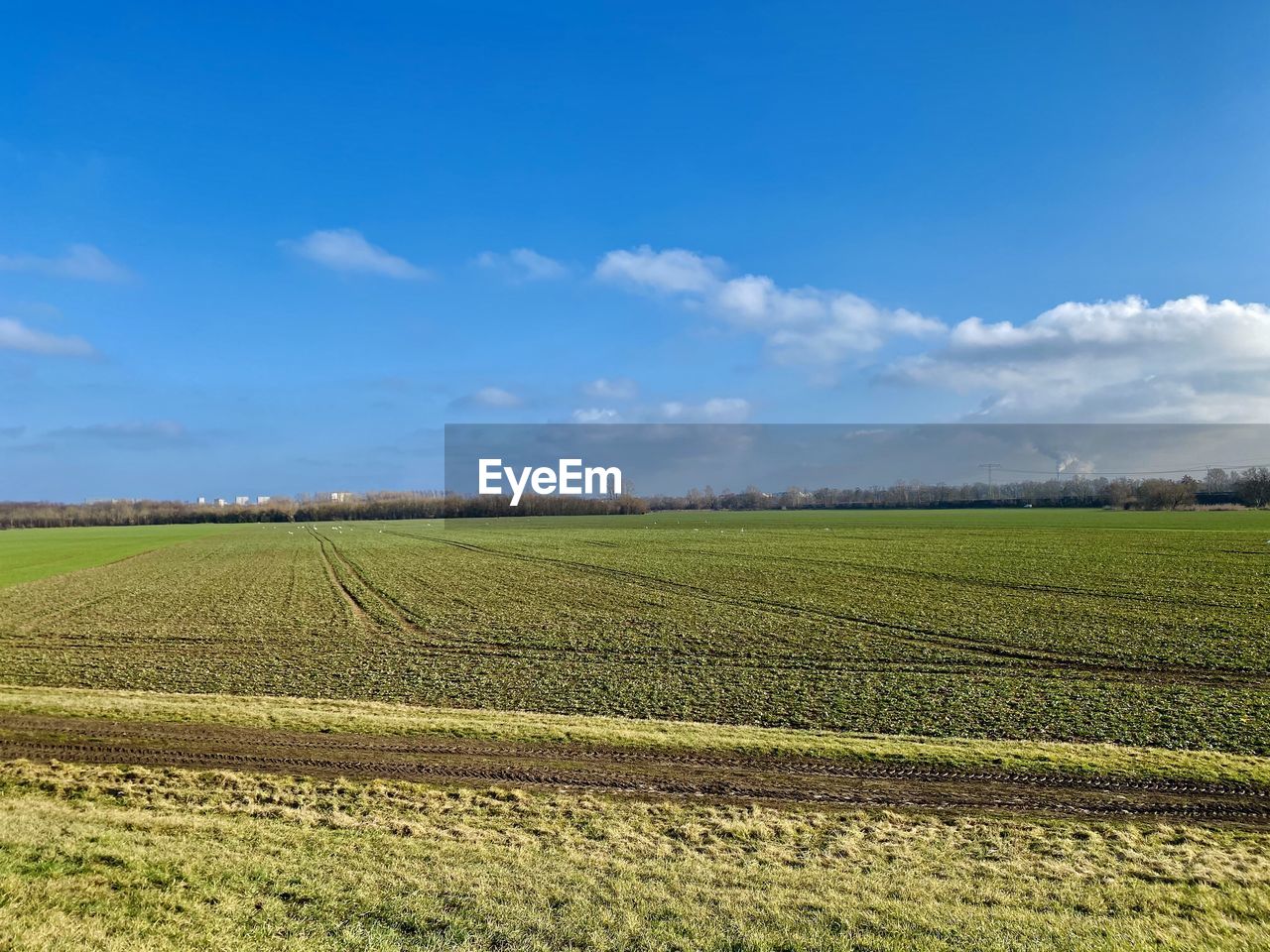 AGRICULTURAL FIELD AGAINST SKY