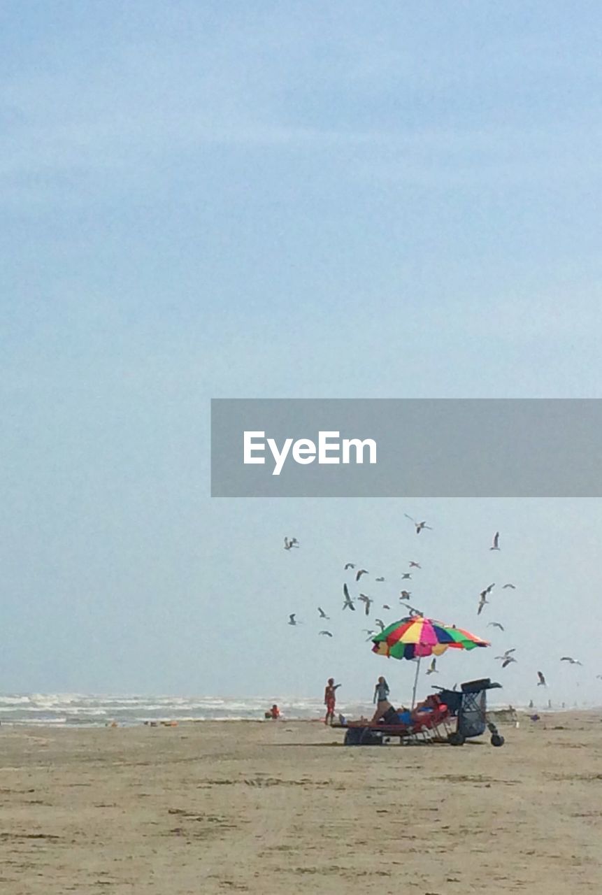 Scenic view of tourist on beach against clears sky