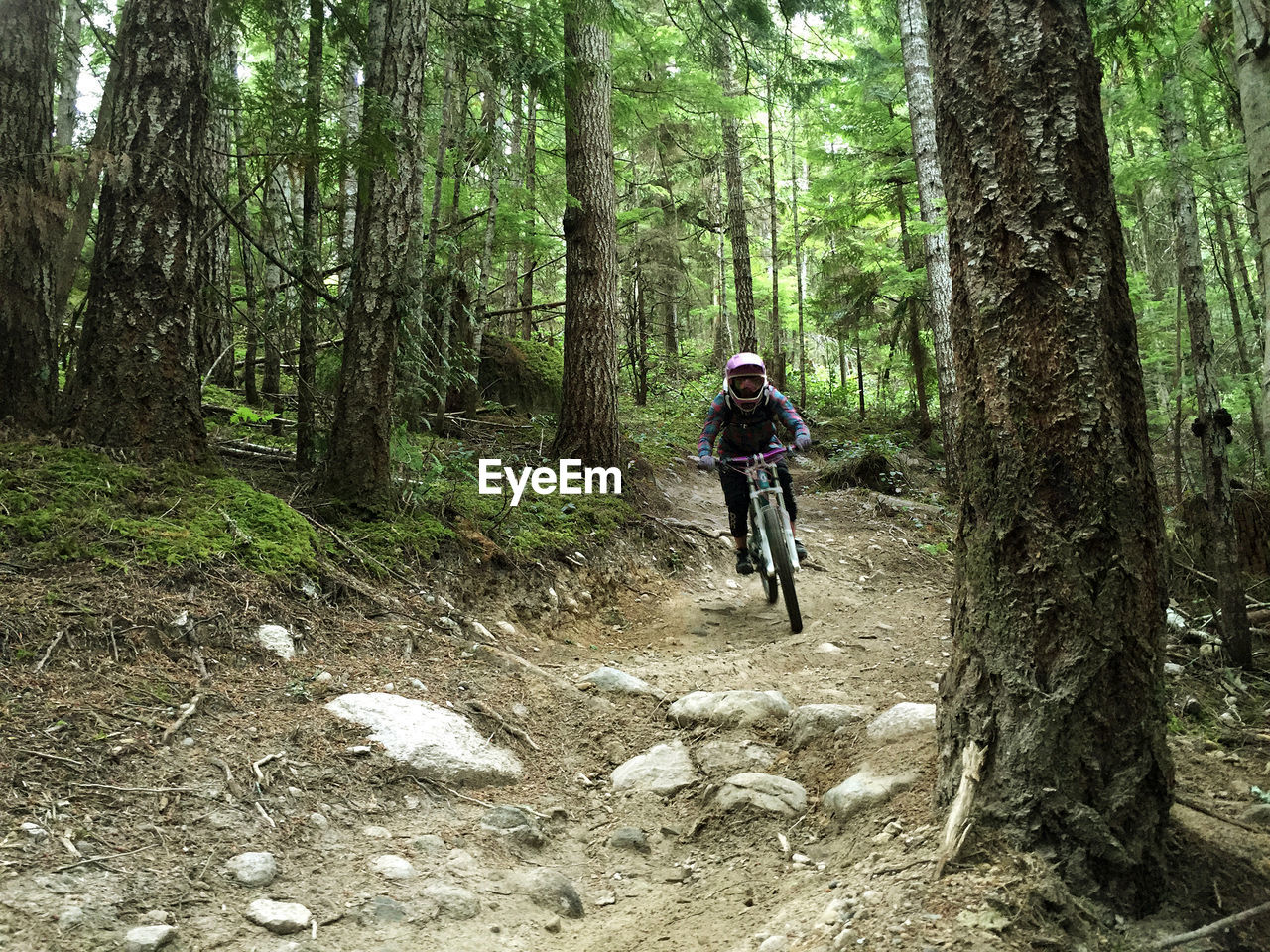 Woman riding bicycle amidst trees in forest