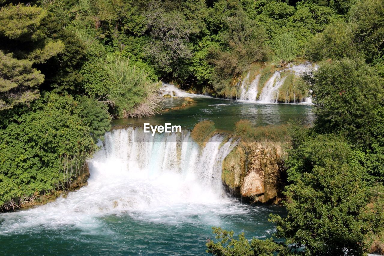 Scenic view of waterfall in forest