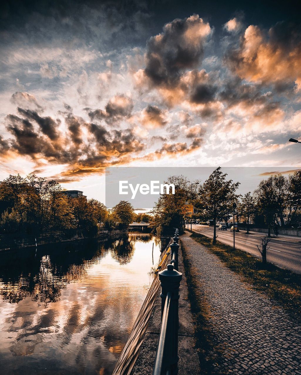 SCENIC VIEW OF TREES AGAINST SKY