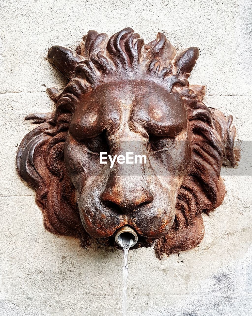 Close-up of lion water statue against wall