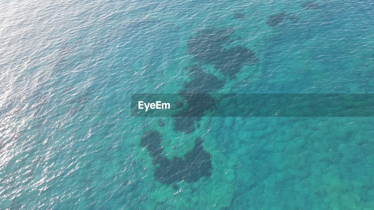 water, sea, nature, ocean, day, blue, no people, beauty in nature, high angle view, turquoise colored, full frame, waterfront, outdoors, underwater, azure, backgrounds, marine biology, tranquility, scenics - nature, motion, rippled, transparent, wind wave, swimming pool, swimming, sunlight, wave