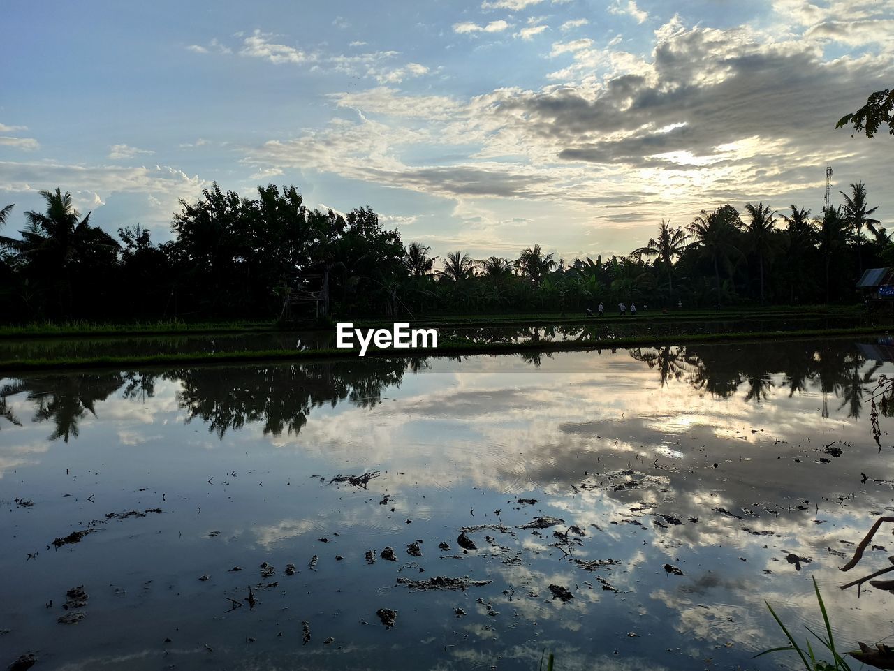 SCENIC VIEW OF LAKE BY SILHOUETTE TREES AGAINST SKY
