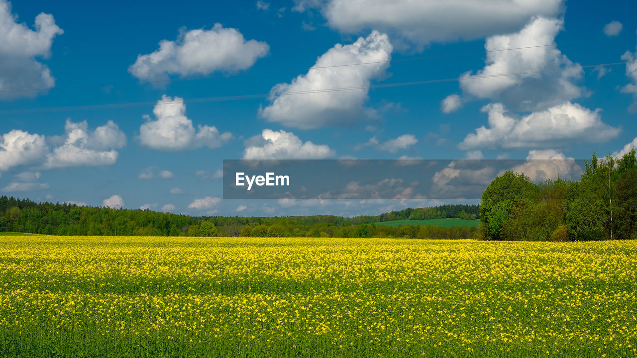 Scenic view of field against cloudy sky