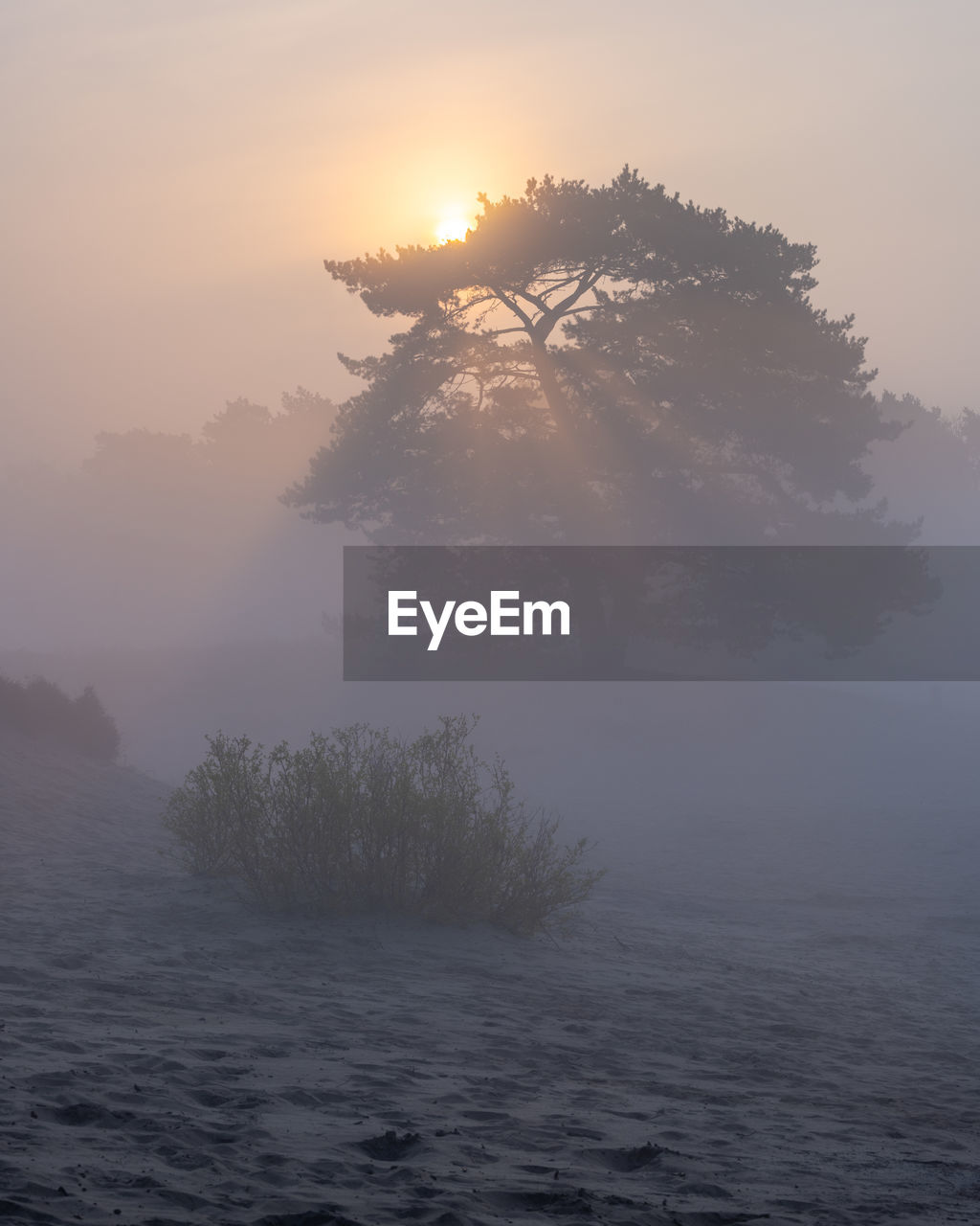 Scenic view of sea against sky at sunset