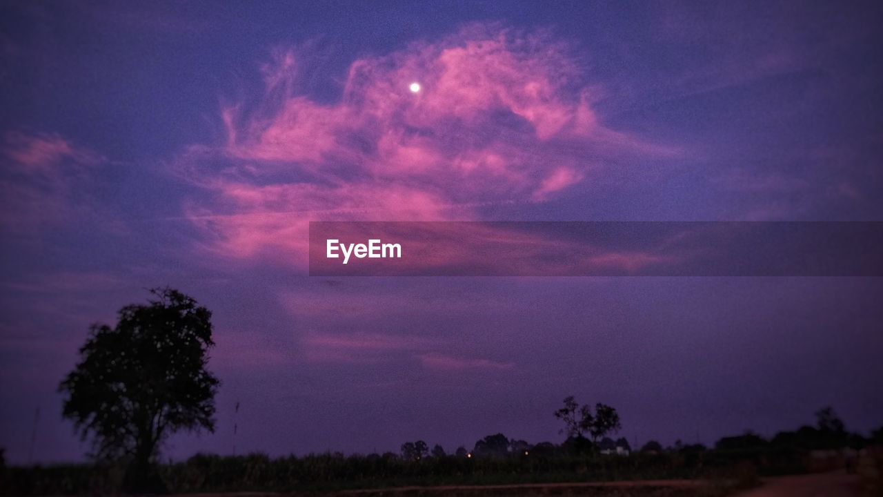 LOW ANGLE VIEW OF SILHOUETTE TREES AGAINST SKY AT DUSK