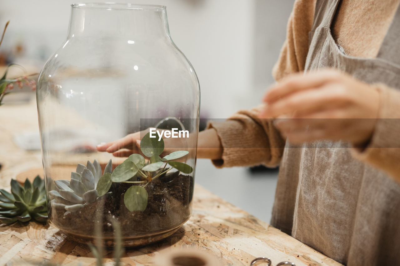 High angle of tranquil adult woman in casual clothes and gray apron planting small green succulents into glass terrarium while standing at table in contemporary light apartment