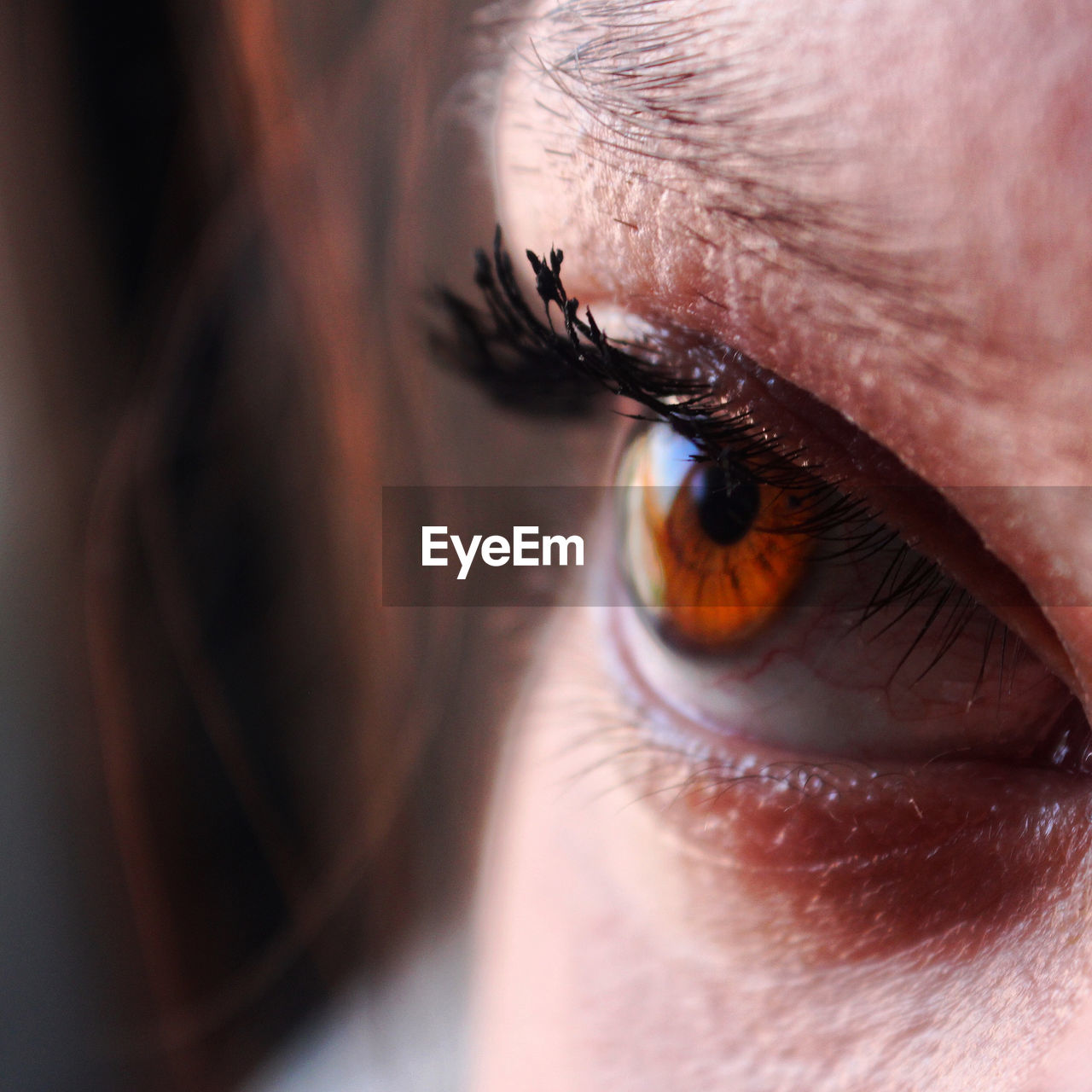 Close-up portrait of woman eye