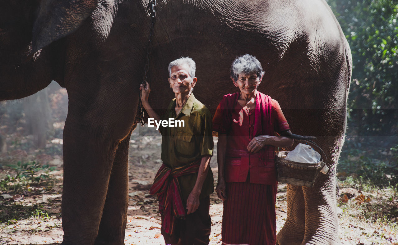Senior couple standing by elephant in forest
