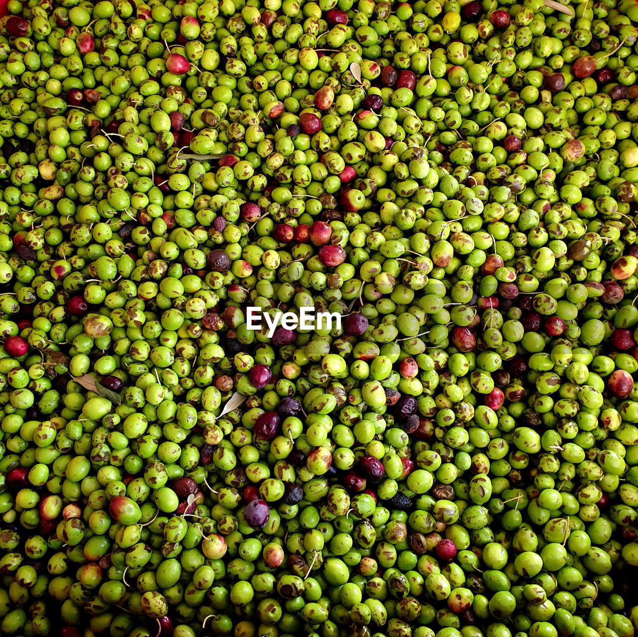 Full frame shot of fresh olives