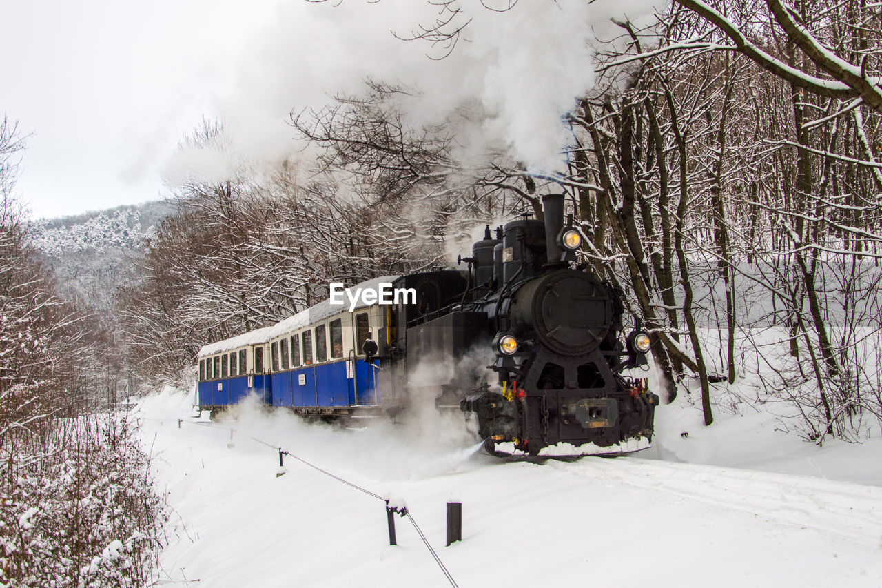 SNOW ON TRAIN BY TREES AGAINST SKY DURING WINTER