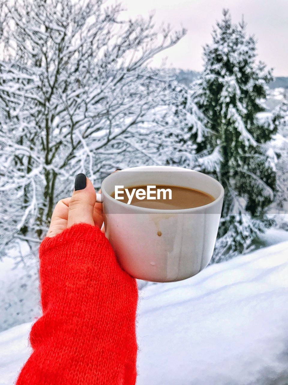 Cropped hand of woman holding coffee cup against trees during winter