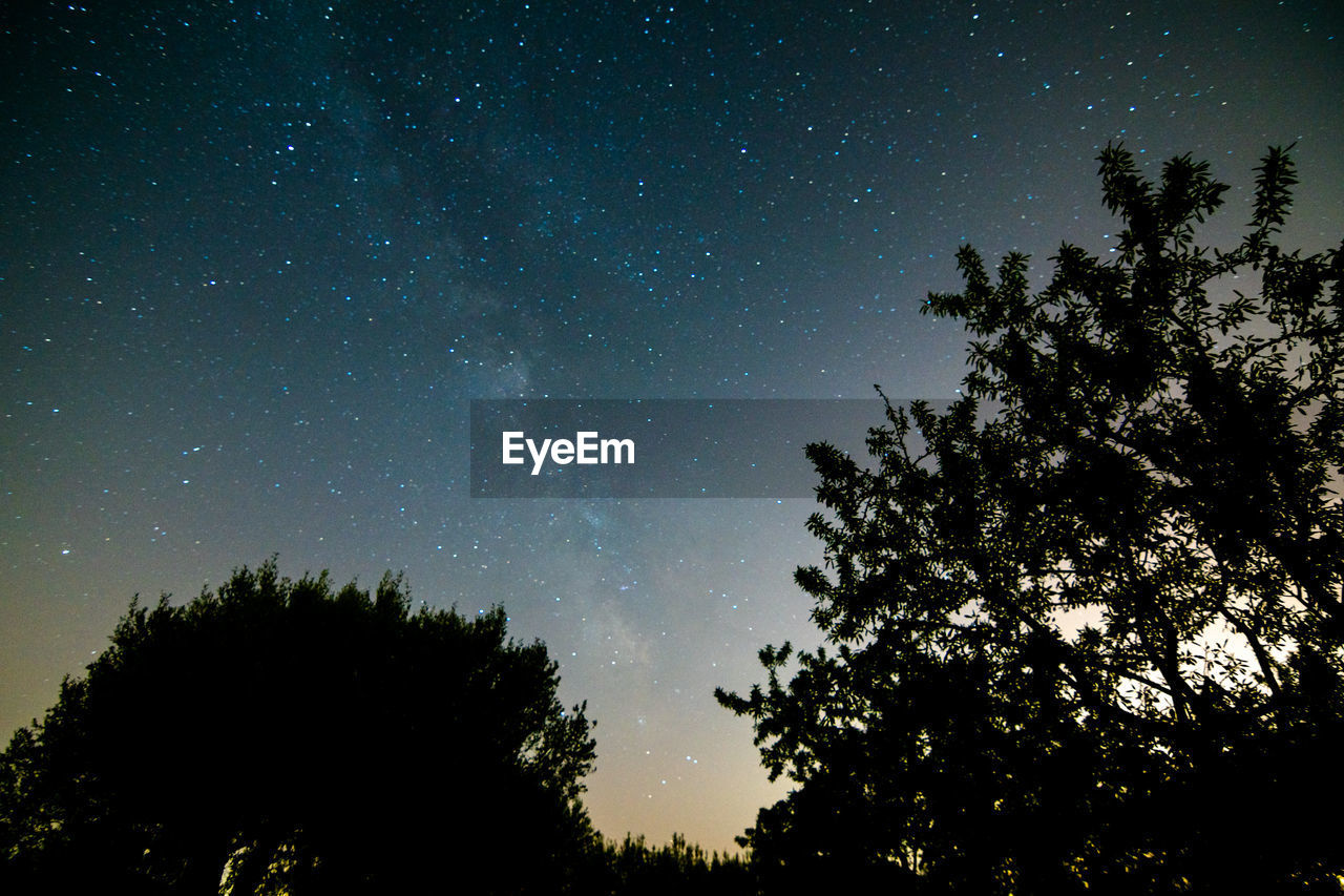 Low angle view of silhouetted trees against the sky at night