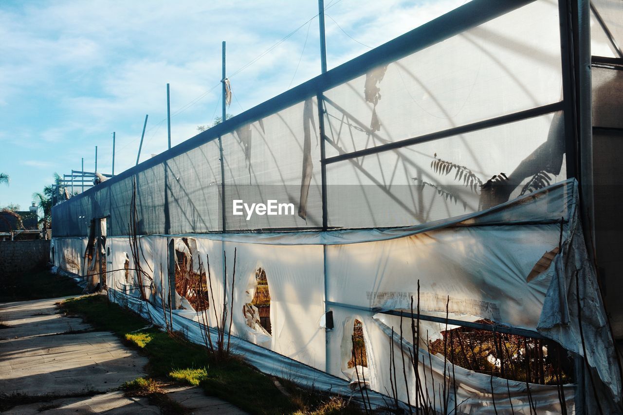 Panoramic view of greenhouse