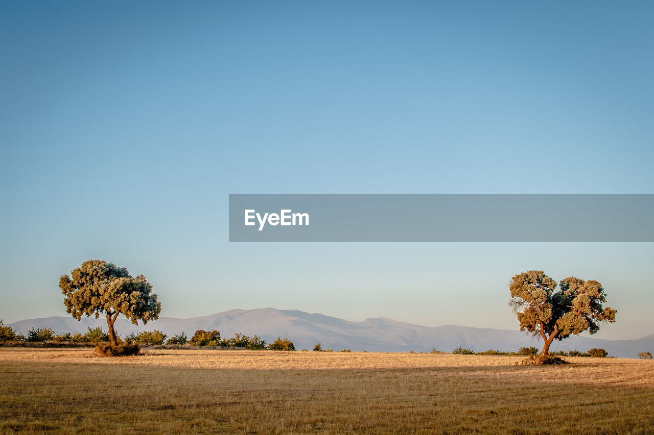 Scenic view of landscape and mountains against clear sky