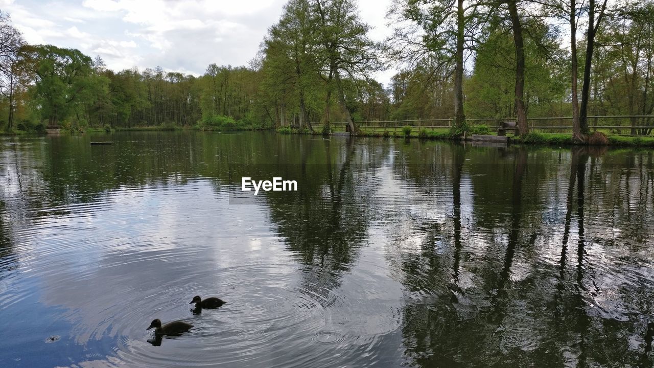 SCENIC VIEW OF LAKE