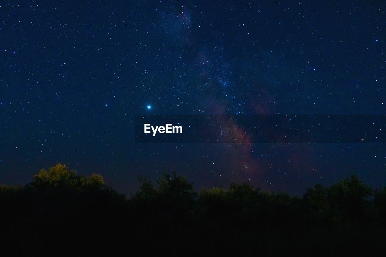 LOW ANGLE VIEW OF SILHOUETTE TREES AGAINST STAR FIELD AT NIGHT