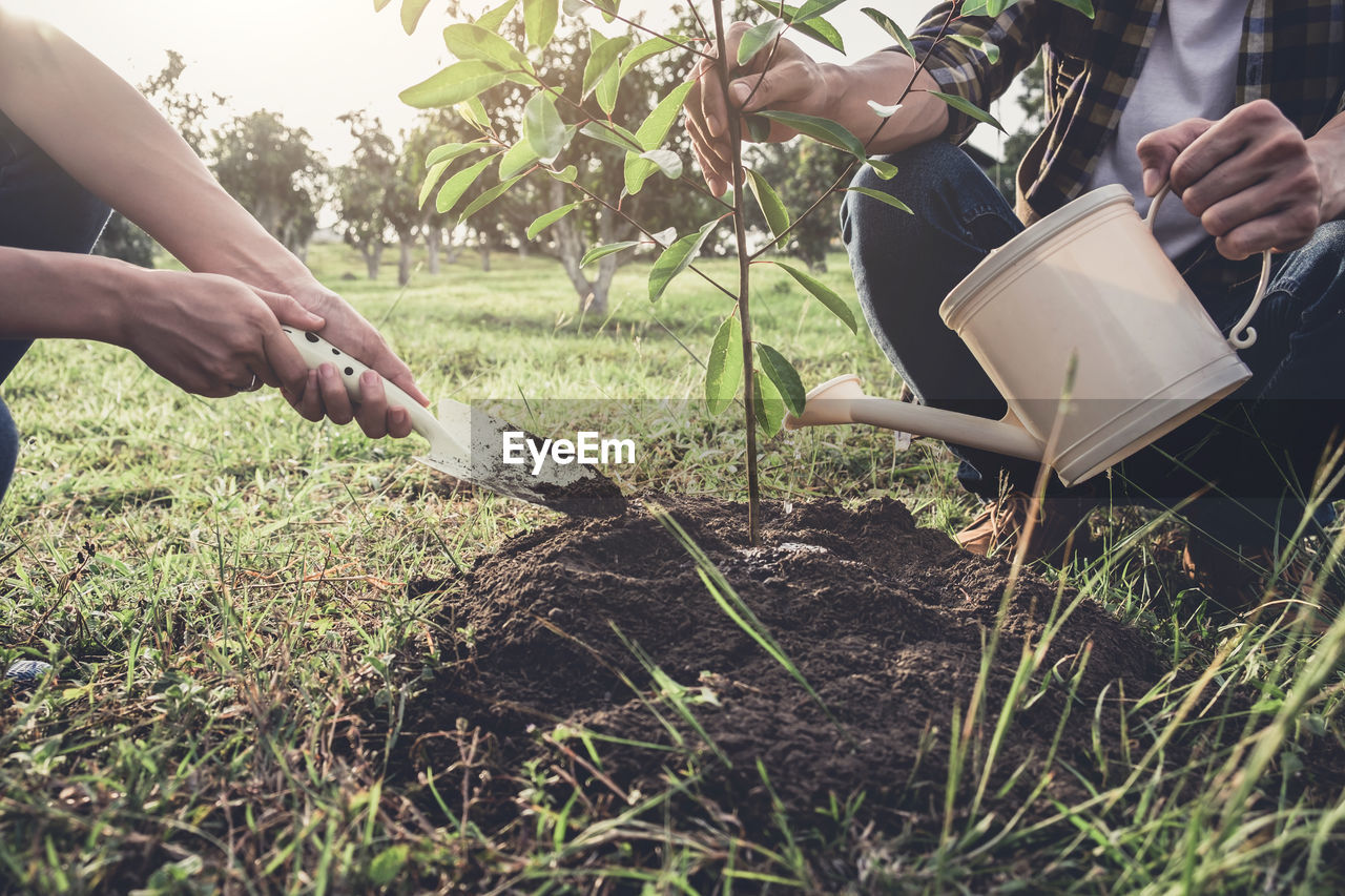 Midsection of friends watering plant in garden