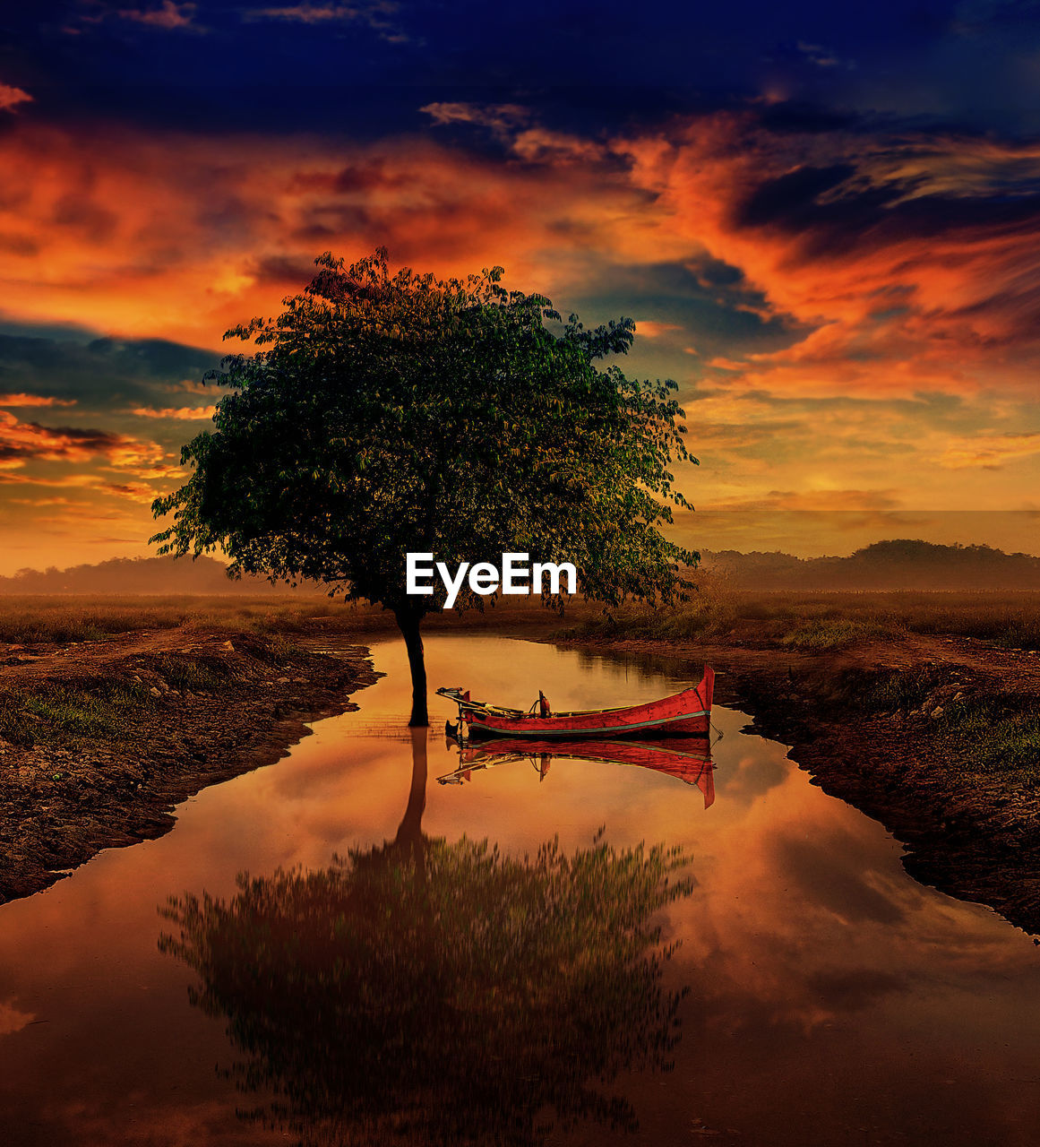 TREE BY LAKE AGAINST SKY AT SUNSET