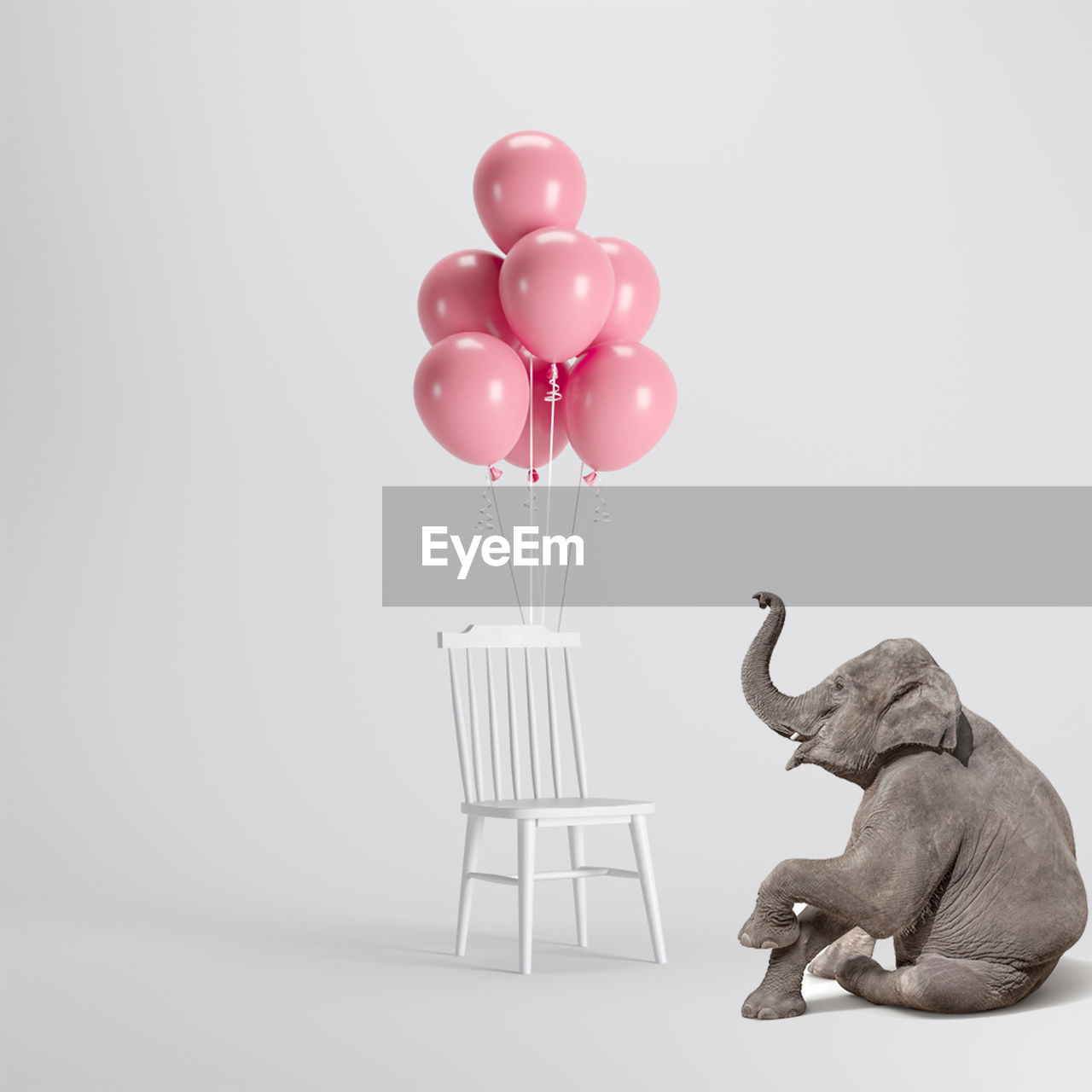 Digital composite image of elephant by balloons on chair against white background