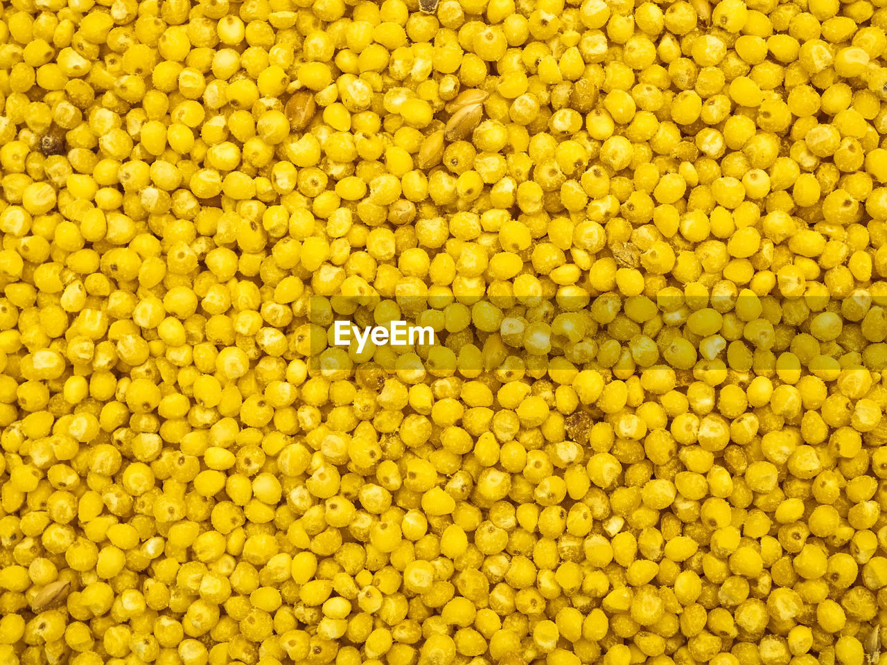 full frame, backgrounds, crop, abundance, yellow, freshness, large group of objects, produce, food, plant, food and drink, no people, pollen, agriculture, vegetable, healthy eating, wellbeing, close-up, textured, high angle view, corn kernels, nature, repetition, raw food, pattern, flower, day