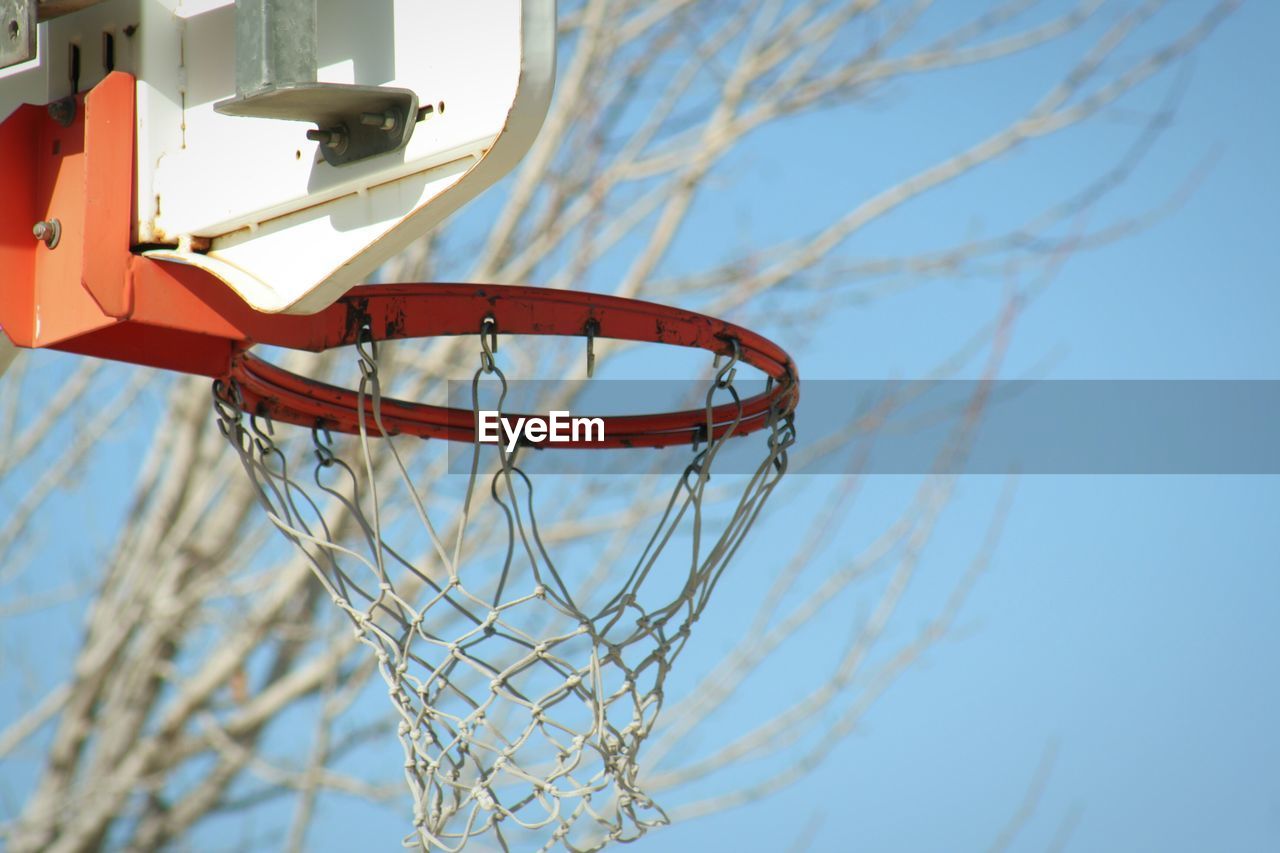 Low angle view of basketball hoop against bare tree