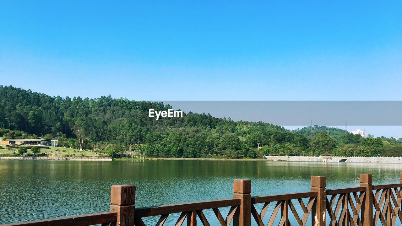 SCENIC VIEW OF RIVER AND TREES AGAINST CLEAR SKY