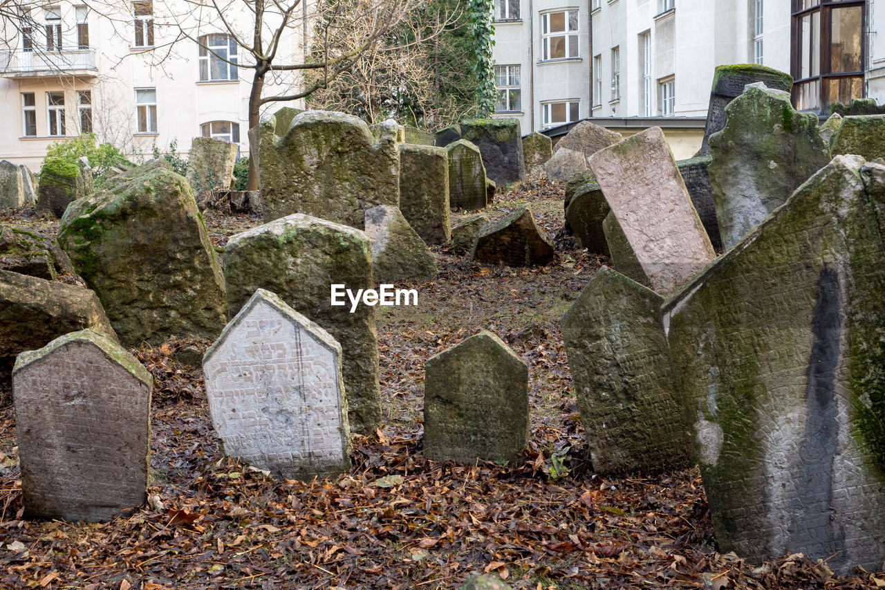 The old jewish cemetery in the josefov, the jewish quarter of prague