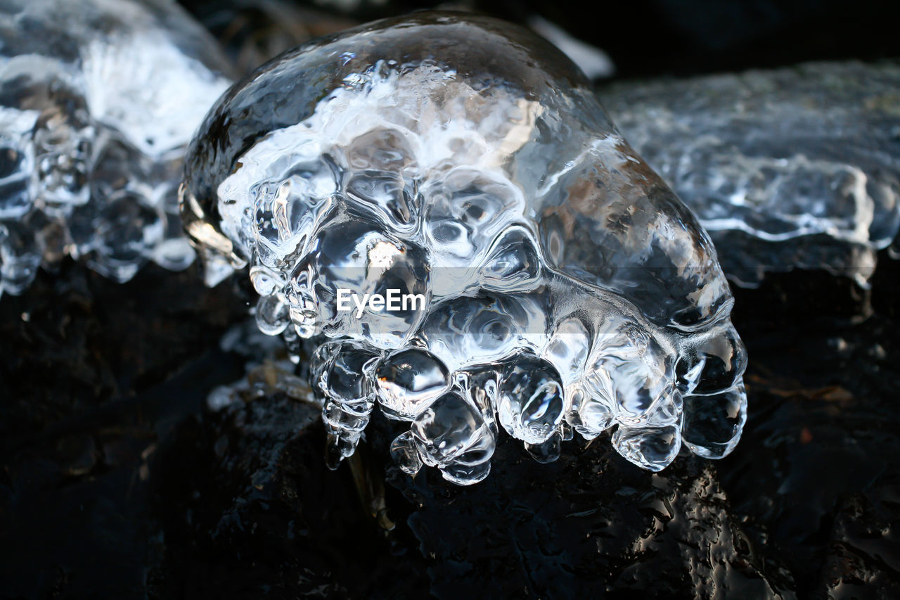Close-up of ice block looking like alien skull