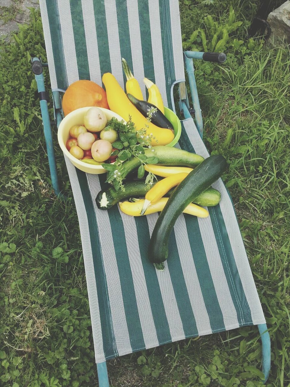 HIGH ANGLE VIEW OF FRUIT IN YARD