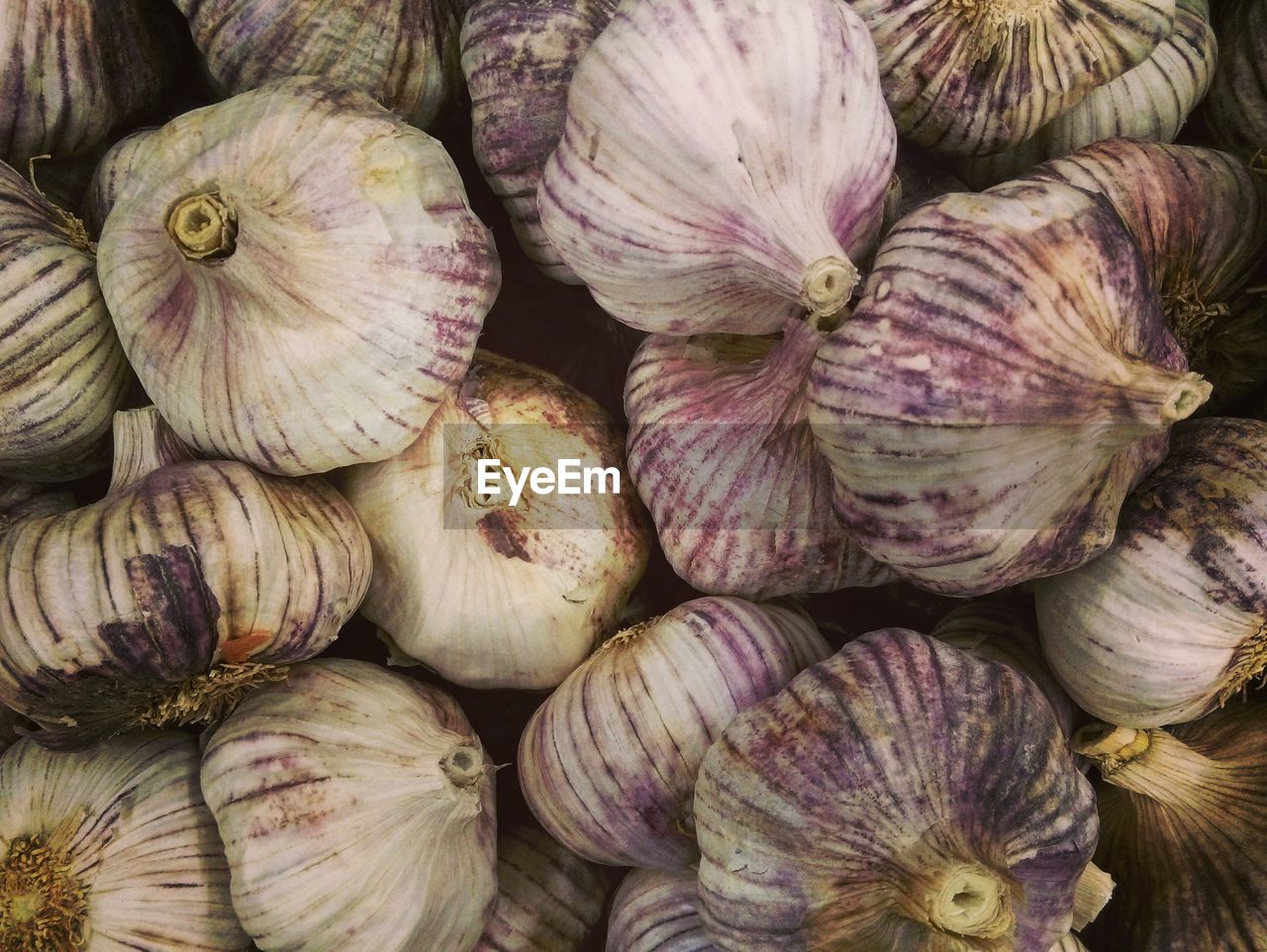 FULL FRAME SHOT OF FRESH VEGETABLES