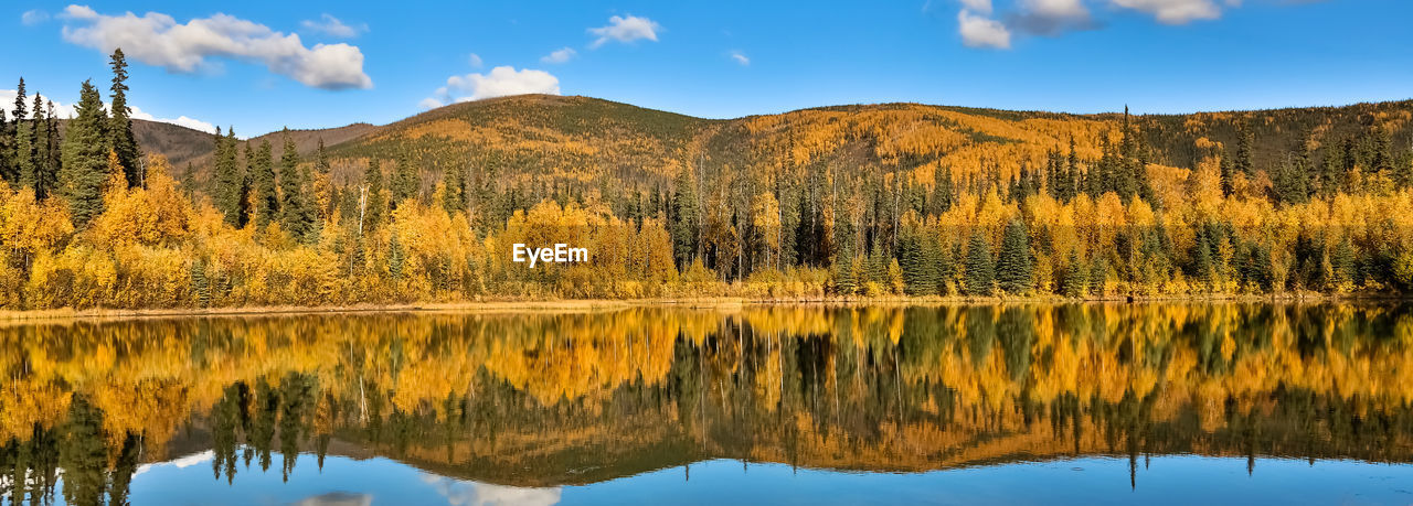 Panorama reflection of trees on lake during autumn