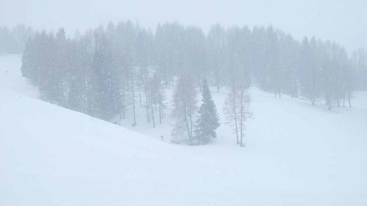 Scenic view of snow covered field