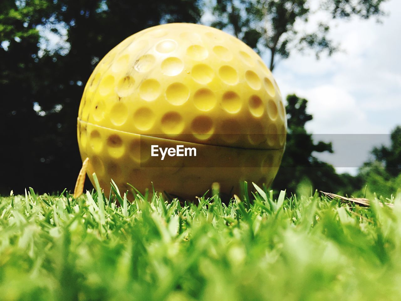Close-up of golf ball on grassy field